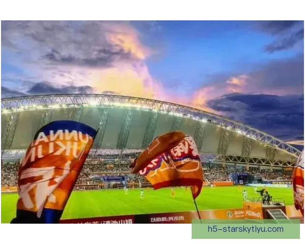 武汉三镇签下喀麦隆中卫亚姆卡姆